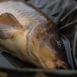 Hot Sale ✔️ Trakker DPM Oval Crib Fish Care 🛒 -Trakker Sales Shop trakker dpm oval crib in use 5