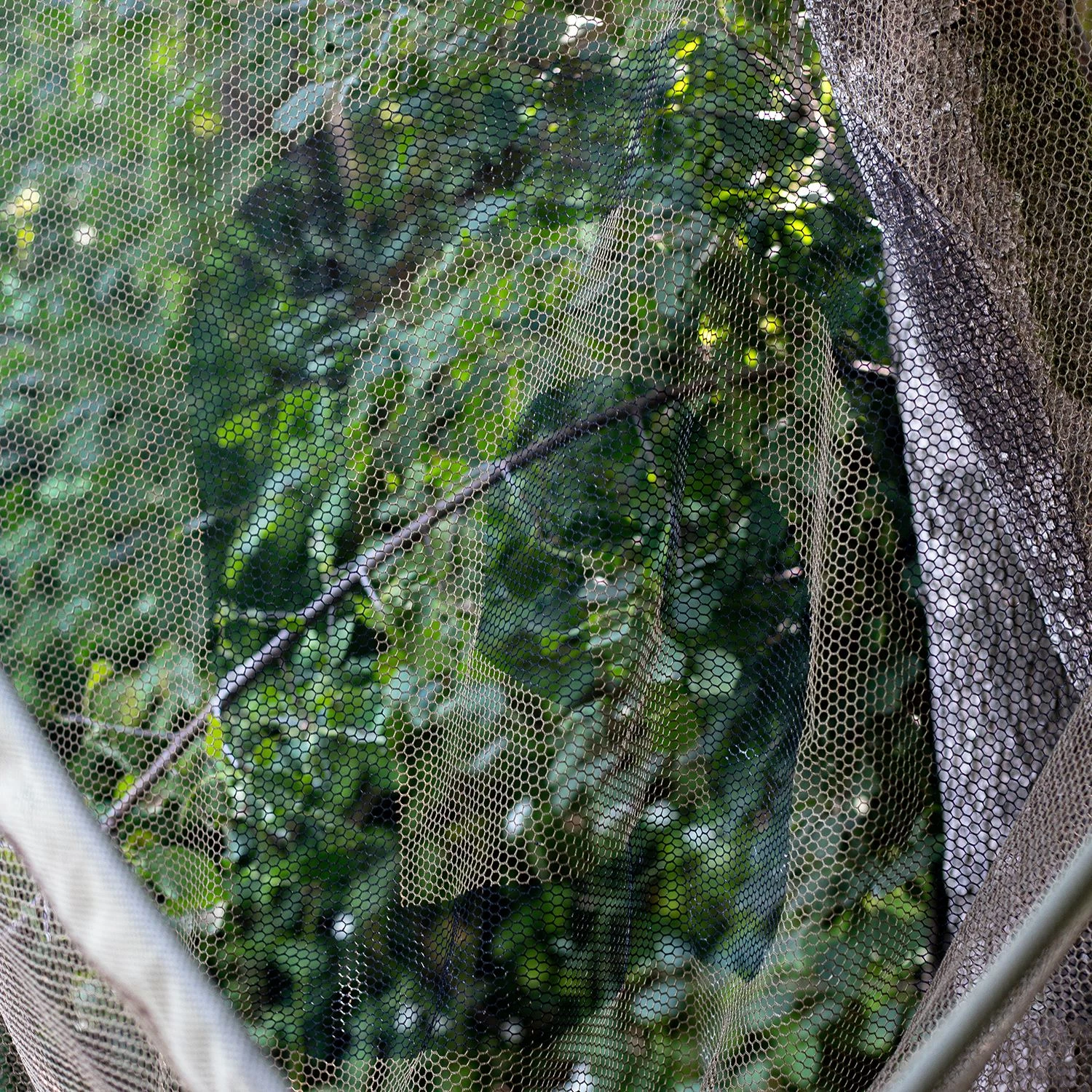 Wholesale 🧨 Trakker Propel Landing Net 1-Piece Nets 🥰 5 Wholesale 🧨 Trakker Propel Landing Net 1-Piece Nets 🥰 - Image 5