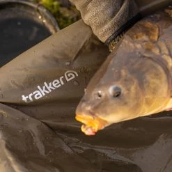 Best Pirce 🔥 Trakker Sanctuary Cradle XL Fish Care 👍 11 Best Pirce 🔥 Trakker Sanctuary Cradle XL Fish Care 👍 -Trakker Sales Shop trakker sanctuary cradle xl 2