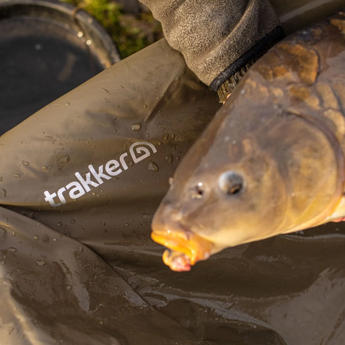 Best Pirce 🔥 Trakker Sanctuary Cradle XL Fish Care 👍 3 Best Pirce 🔥 Trakker Sanctuary Cradle XL Fish Care 👍 - Image 3